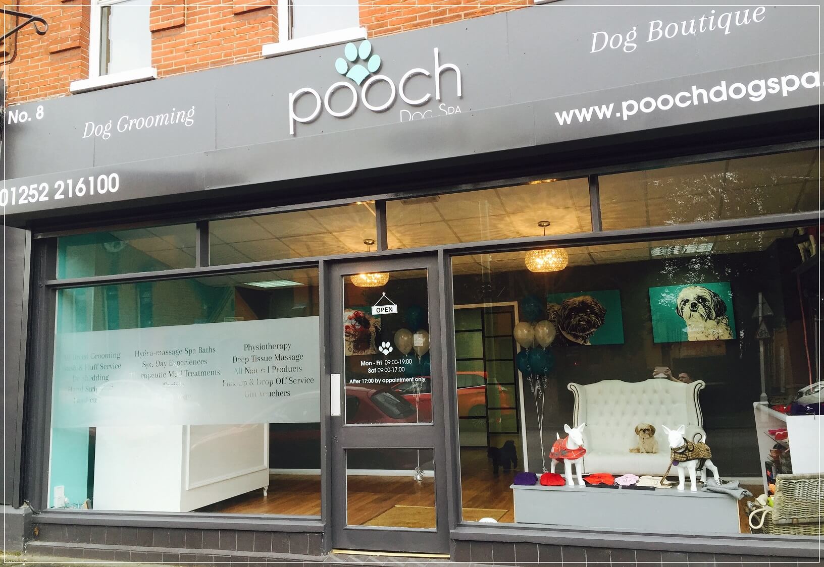 Dog-Grooming-Woking.jpeg