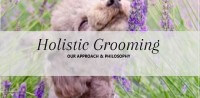 Holistic grooming at pooch Dog Spa